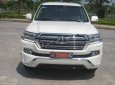 Toyota Land Cruiser VX 4.6 V8 2016 - Cần bán gấp Toyota Land Cruiser VX 4.6 V8 sản xuất 2016, màu trắng, nhập khẩu nguyên chiếc