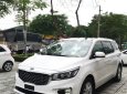 Kia Sedona Platinum G 2018 - Bán ô tô Kia Sedona Platinum G đời 2018, màu trắng