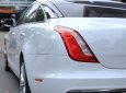 Jaguar XJL 2016 2016 - Bán Jaguar XJL đời 2016