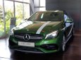 Mercedes-Benz A class AMG A45 2018 - Bán xe Mercedes AMG A45 một chiếc duy nhất, hàng độc tại Việt Nam