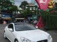 Hyundai Genesis 2010 - Bán Hyundai Genesis đời 2010, màu trắng, giá chỉ 495 triệu