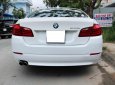 BMW 5 Series 520i 2012 - Xe BMW 5 Series 520i sản xuất năm 2012, màu trắng 