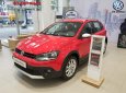 Volkswagen Polo Cross 2018 - Volkswagen Cross Polo - Xe Hatchback đô thị nhỏ gọn, nhập khẩu chính hãng Volkswagen/ Hotline: 090.898.8862