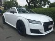 Audi TT 2015 - Cần bán lại xe Audi TT 2015, màu trắng chính chủ