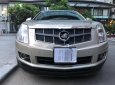 Cadillac SRX 3.0 V6 2010 - Bán Cadillac SRX 3.0 V6 đời 2010, màu vàng
