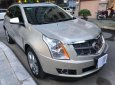 Cadillac SRX 3.0 V6 2010 - Bán Cadillac SRX 3.0 V6 đời 2010, màu vàng
