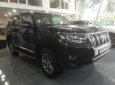 Toyota Land Cruiser Prado 4.0L 2018 - Bán ô tô Toyota Prado 4.0 sản xuất 2018, màu đen, nhập khẩu nguyên chiếc, mới 100%