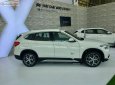 BMW X1 sDriver18i 2018 - Cần bán xe BMW X1 sDriver18i năm sản xuất 2018, màu trắng, xe nhập