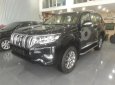 Toyota Land Cruiser Prado 4.0L 2018 - Bán ô tô Toyota Prado 4.0 sản xuất 2018, màu đen, nhập khẩu nguyên chiếc, mới 100%