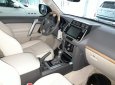 Toyota Land Cruiser Prado 4.0L 2018 - Bán ô tô Toyota Prado 4.0 sản xuất 2018, màu đen, nhập khẩu nguyên chiếc, mới 100%