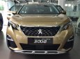 Peugeot 3008   2018 - Sở hữu ngay Peugeot 3008 "Chỉ với 240 triệu"