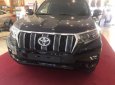 Toyota Prado 2019 2018 - Cần bán Toyota Prado năm 2018 màu đen, giá 2 tỷ 340 triệu, nhập khẩu nguyên chiếc