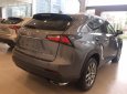 Lexus NX 2018 - Giao ngay xe mới nhập khẩu Mỹ Lexus NX200T