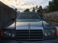 Mercedes-Benz E class E300 1987 - Cần bán gấp xe Mercedes E300 đời 1987, màu xám (ghi), nhập khẩu