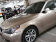 BMW 5 Series 530i 2010 - Cần bán BMW 530i sản xuất 2010, xe nhập