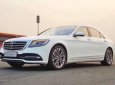 Mercedes-Benz S class   S450 Luxury   2018 - Bán ô tô Mercedes S450 Luxury đời 2018, màu trắng