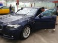 BMW 5 Series 520i 2014 - Cần bán xe BMW 5 Series 520i 2014, màu xanh lam, xe nhập