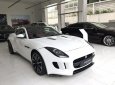 Jaguar F Type  Sport  2017 - Bán Jaguar F-Type Sport chính hãng - Giao ngay với quà tặng và phụ kiện lớn - Hotline: 0938302233