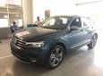 Volkswagen Tiguan 2018 - Bán xe Volkswagen Tiguan sản xuất năm 2018, màu xanh lam, nhập khẩu