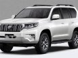 Toyota Land Cruiser  Prado 2.7 VX  2018 - Bán Toyota Land Cruiser Prado 2.7 VX 2018, nhập khẩu