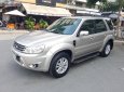 Ford Escape 2.3 XLS 2010 - Xe cũ Ford Escape 2.3 XLS 2010, màu vàng chính chủ