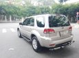 Ford Escape 2.3 XLS 2010 - Xe cũ Ford Escape 2.3 XLS 2010, màu vàng chính chủ