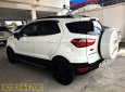 Ford EcoSport Titanium 2018 - Bán Ford EcoSport số tự động bản Titanium đăng ký 2017, chạy 16.000 km