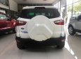 Ford EcoSport   2018 - Bán Ford EcoSport Trend AT, Titanium, 1.0 Ecoboots năm sản xuất 2018, màu trắng