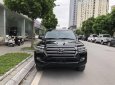 Toyota Land Cruiser V8 VX 4.6L 2016 - Bán Toyota Land Cruiser V8 VX 4.6L đời 2016, màu đen, nhập khẩu