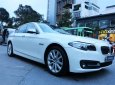 BMW 5 Series 520i 2016 - BMW 5 Series 520i năm sản xuất 2016