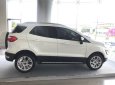 Ford EcoSport   2018 - Bán Ford EcoSport Trend AT, Titanium, 1.0 Ecoboots năm sản xuất 2018, màu trắng