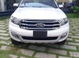 Ford Everest 2.0L 4x2 Titanium AT 2018 - Bán xe Ford Everest 2.0L 4x2 và 4x4 Titanium 2018, PK: Phủ ceramic, BHVC, phim, camera, lót sàn,... LH ngay: 093.543.7595