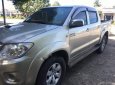 Toyota Hilux     2010 - Bán Toyota Hilux 2010, màu bạc, nhập khẩu Thái Lan hai cầu