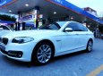 BMW 5 Series 520i 2016 - BMW 5 Series 520i năm sản xuất 2016