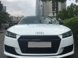 Audi TT 2.0 TFSI 2015 - Bán Audi TT 2.0 TFSI sản xuất năm 2015, màu trắng, nhập khẩu nguyên chiếc chính chủ