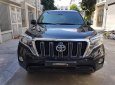 Toyota Prado TXL 2013 - Bán xe Toyota Prado TXL 2014 cực đẹp