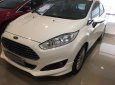 Ford Fiesta 2013 - Bán Fiesta Ecoboost 2013 biển Sài Gòn, 1 đời chủ đi 34.000km