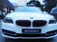 BMW 5 Series 520i 2016 - BMW 5 Series 520i năm sản xuất 2016