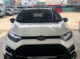 Ford EcoSport Titanium 2018 - Bán Ford EcoSport số tự động bản Titanium đăng ký 2017, chạy 16.000 km