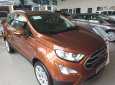 Ford EcoSport Titanium 1.5L AT 2018 - Cần bán Ford EcoSport Titanium 1.5L AT sản xuất năm 2018, giá 630tr