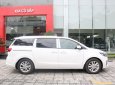 Kia Sedona Platinum D 2018 - Bán Sedona Platinum D hot hot, có xe giao ngay, hỗ trợ trả góp 85% giá trị xe, vô vàn ưu đãi. Liên hệ 0919 365 016