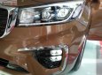 Kia Sedona Platinum G 2018 - Bán xe Kia Sedona Platinum G 2018, màu vàng