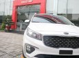 Kia Sedona Platinum G  2018 - Bán ô tô Kia Sedona Platinum G đời 2018, màu trắng. Xe giao ngay