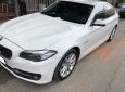 BMW 5 Series  520i  2016 - Bán BMW 5 Series 520i 2016, màu trắng, xe nhập số tự động