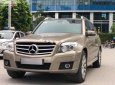 Mercedes-Benz GLK Class GLK 300 2010 - Cần bán xe cũ Mercedes GLK 300 sản xuất năm 2010, màu vàng như mới