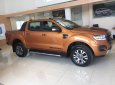 Ford Ranger Wildtrak 2.0L 4x2 AT 2018 - Bán xe Ford Ranger Wildtrak và XLS, xe giao ngay, giá cực nét, PK: Nắp thùng, lót thùng, phim, BHVC, LH: 091.888.9278