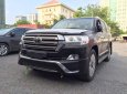 Toyota Land Cruiser VXS 4.6 V8 2018 - Cần bán Toyota Land Cruiser VXS 4.6 V8 model 2019, nhập khẩu Trung Đông