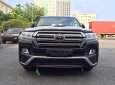 Toyota Land Cruiser VXS 4.6 V8 2018 - Cần bán Toyota Land Cruiser VXS 4.6 V8 model 2019, nhập khẩu Trung Đông