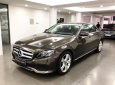 Mercedes-Benz E class E250 2017 - Bán Mercedes E250 2018 màu nâu, chính chủ, chạy lướt cực mới