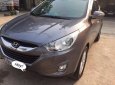 Hyundai Tucson 2.0 VVT 2010 - Bán xe Hyundai Tucson 2.0 VVT sản xuất năm 2010, xe nhập số tự động